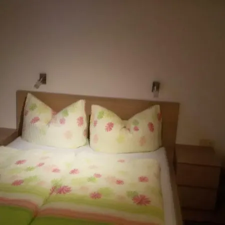 Apartment Ferienwohnung Daum Hippach
